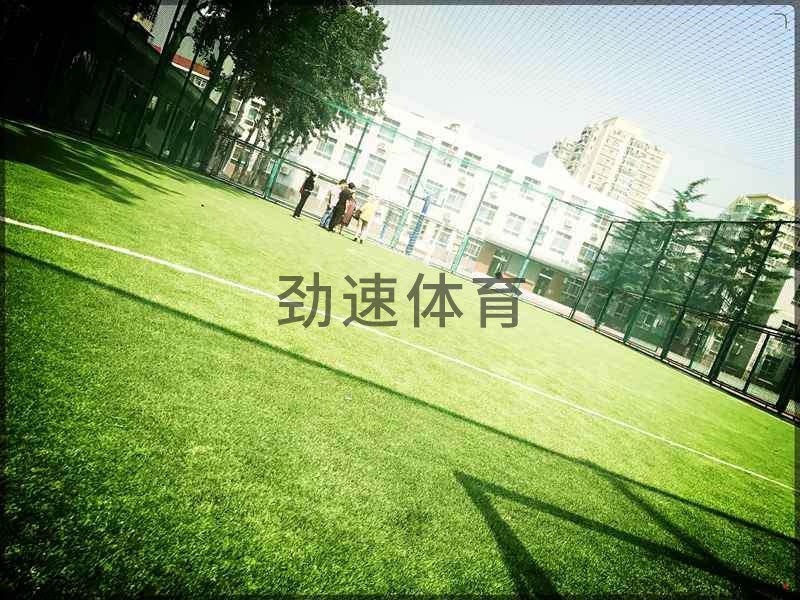 學(xué)校網(wǎng)式足球場(chǎng)