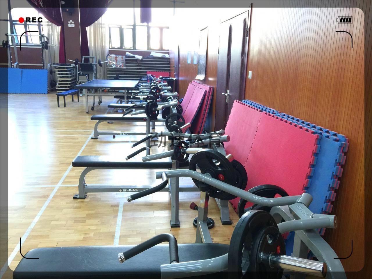 陳經(jīng)綸中學(xué)健身器材 (2)