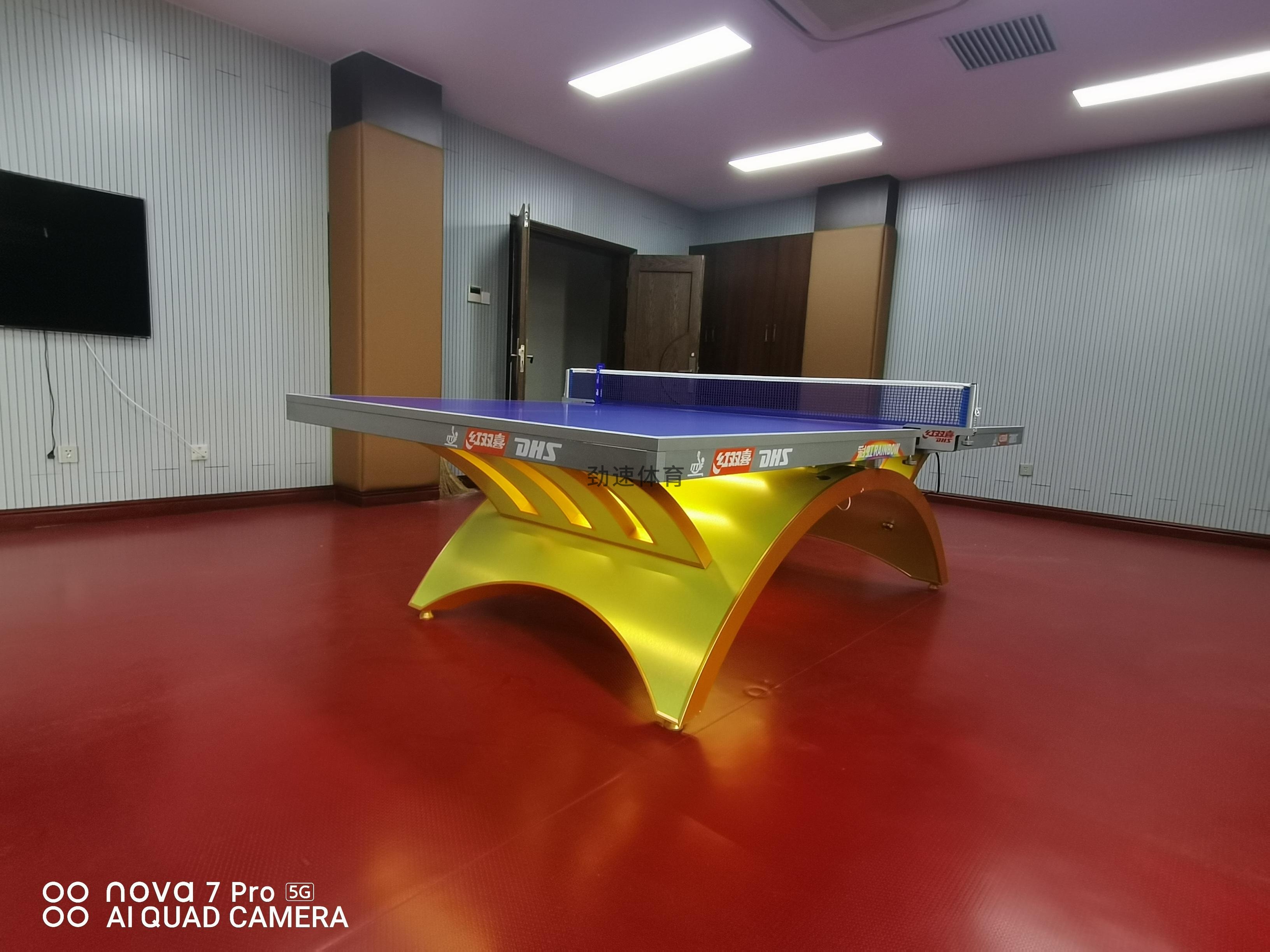 體育器材，紅雙喜乒乓球臺